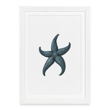 Illustration détaillée d’étoile de mer bleue - Affiche encadrée (27 × 37 cm) - blanc - Devant