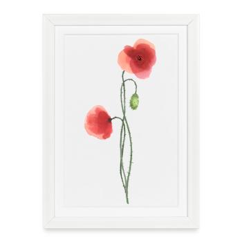 Fleur : coquelicot rouge - Affiche encadrée (27 × 37 cm) - blanc - Devant