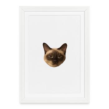 Siamese cat - Framed poster (27 × 37 cm) - white - Front