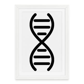 DNA DNA double helix - Framed poster (27 × 37 cm) - white - Front