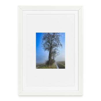 Arbre solitaire dans la brume du matin - Affiche encadrée (27 × 37 cm) - blanc - Devant