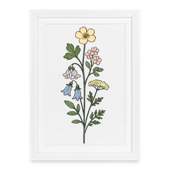 Illustration vintage de fleurs botaniques - Affiche encadrée (27 × 37 cm) - blanc - Devant