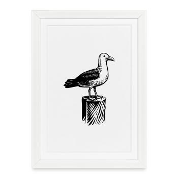 Mouette. Nord. Moin du nord de l’Allemagne. - Affiche encadrée (27 × 37 cm) - blanc - Devant