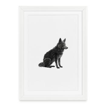 Wolf - Framed poster (27 × 37 cm) - white - Front