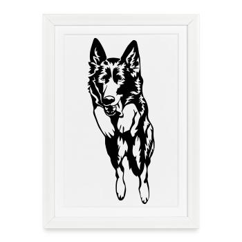 chien de race berger allemand - Affiche encadrée (27 × 37 cm) - blanc - Devant