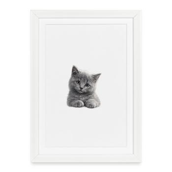 Cuddly Grey Kitten - Framed poster (27 × 37 cm) - white - Front