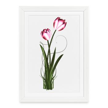 deux tulipes métalliques chatoyantes au printemps - Affiche encadrée (27 × 37 cm) - blanc - Devant