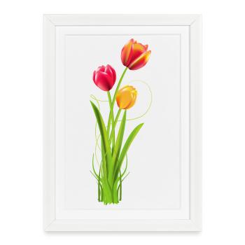Trois tulipes aux couleurs vives comme bouquet printanier - Affiche encadrée (27 × 37 cm) - blanc - Devant