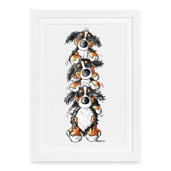 Trois Bouvier Bernois - Affiche encadrée (27 × 37 cm) - blanc - Devant