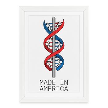 Drapeau ADN Made In America - Affiche encadrée (27 × 37 cm) - blanc - Devant