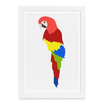 Colorful Parrot Tropical Jungle Bird - Framed poster (27 × 37 cm) - white - Front