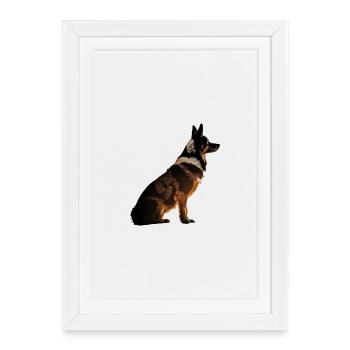 Chien - Affiche encadrée (27 × 37 cm) - blanc - Devant