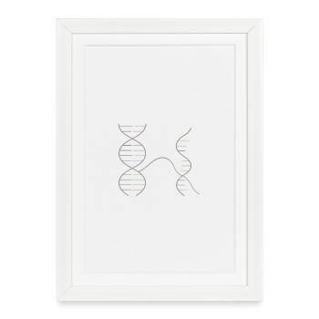 DNA–RNA Geometry – Chemie Design - Gerahmtes Poster (27 × 37 cm) - Weiß - Vorne