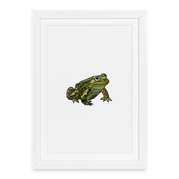 Grenouille - Affiche encadrée (27 × 37 cm) - blanc - Devant