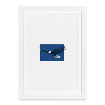 Vol d’aigle dans Blue Sky, Seattle, Seahawks - Affiche encadrée (27 × 37 cm) - blanc - Devant