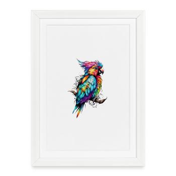 Perroquet coloré Couleur Feu - Affiche encadrée (27 × 37 cm) - blanc - Devant