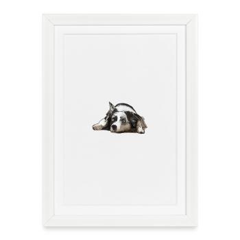 Berger australien - Affiche encadrée (27 × 37 cm) - blanc - Devant