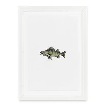 Pêche aux carnassiers du sandre - Affiche encadrée (27 × 37 cm) - blanc - Devant