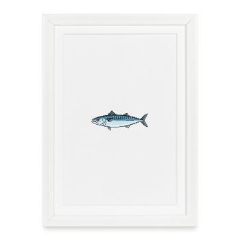 Mackerel Fish Fishing - Framed poster (27 × 37 cm) - white - Front