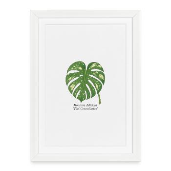 stylische Pflanze - Thai Constellation Monstera - Gerahmtes Poster (27 × 37 cm) - Weiß - Vorne