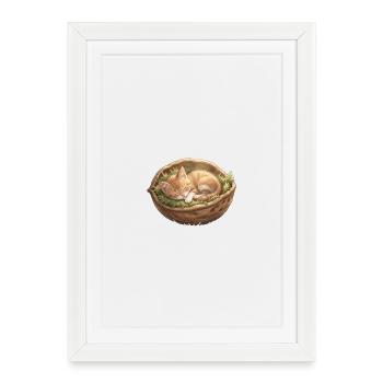 Chaton nid endormi - Affiche encadrée (27 × 37 cm) - blanc - Devant