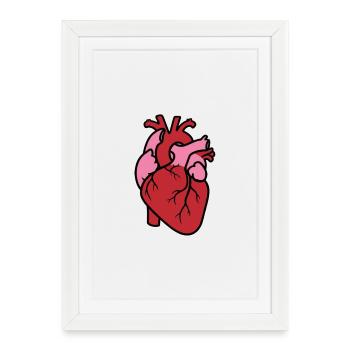 Anatomical Heart Realistic Organ Vector - Framed poster (27 × 37 cm) - white - Front