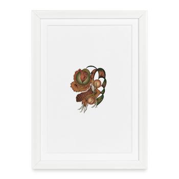 Formes de fleurs de ton de terre - Affiche encadrée (27 × 37 cm) - blanc - Devant