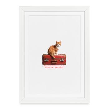 Chat de voyage #1 - Affiche encadrée (27 × 37 cm) - blanc - Devant