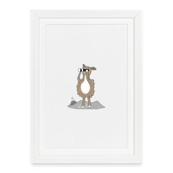 Lama avec jumelles - Affiche encadrée (27 × 37 cm) - blanc - Devant