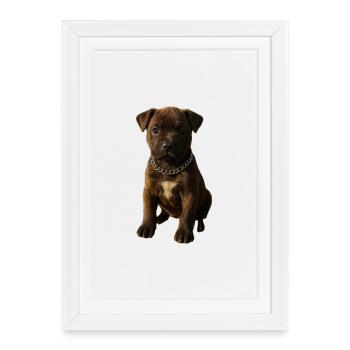 Puppy Charm Motif with Chain Collar - Framed poster (27 × 37 cm) - white - Front