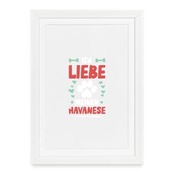 I love my Havanese - Framed poster (27 × 37 cm) - white - Front