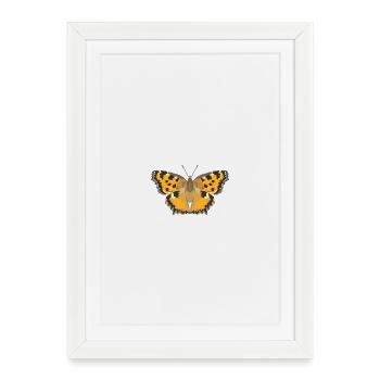 Butterflies: The Great Fox - Framed poster (27 × 37 cm) - white - Front