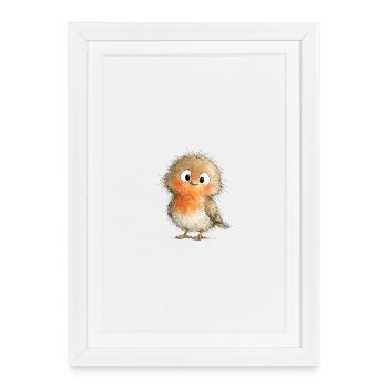 Cute Robin. - Framed poster (27 × 37 cm) - white - Front