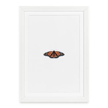 Butterflies: The monarch butterfly - Framed poster (27 × 37 cm) - white - Front