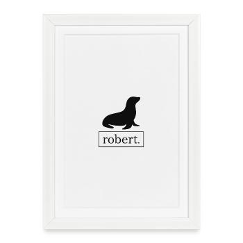 Robert phoque / phoque / Lion de mer - Affiche encadrée (27 × 37 cm) - blanc - Devant