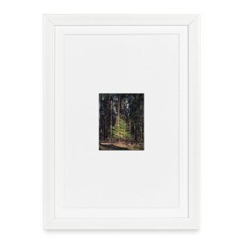 Young fir tree in the heart of a pine forest - Framed poster (27 × 37 cm) - white - Front