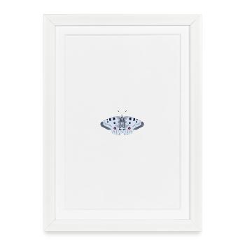 Butterflies: The Red Apollo - Framed poster (27 × 37 cm) - white - Front