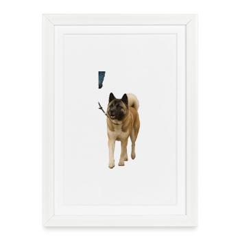 Akita - Framed poster (27 × 37 cm) - white - Front