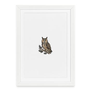 Long-eared Owl Asio Otus - Framed poster (27 × 37 cm) - white - Front