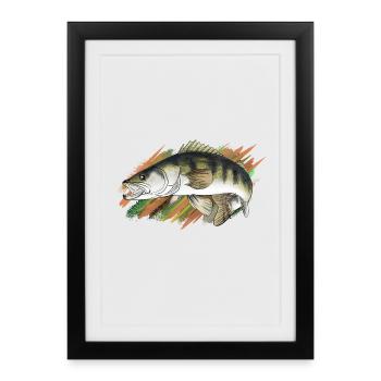 pike-perch - Affiche encadrée (27 × 37 cm) - noir - Devant