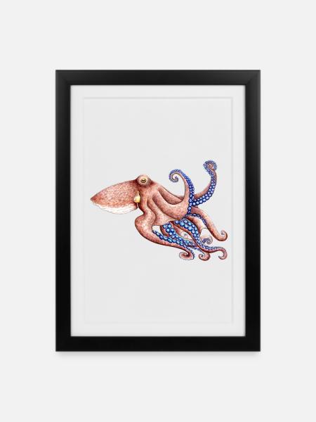 Blaue Krake - Blau Krake - Poulpe bleu - Gerahmtes Poster (27 × 37 cm) - Schwarz