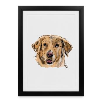 Golden Retrievers - Affiche encadrée (27 × 37 cm) - noir - Devant