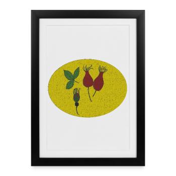Cercle d’églantier - Affiche encadrée (27 × 37 cm) - noir - Devant