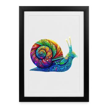 Snail - Framed poster (27 × 37 cm) - black - Front