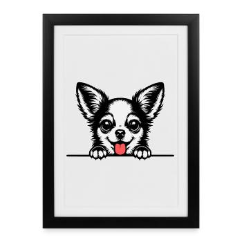 Chihuahua with paws - Framed poster (27 × 37 cm) - black - Front