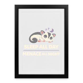 Maman Sugar Glider Amante des animaux exotiques - Affiche encadrée (27 × 37 cm) - noir - Devant