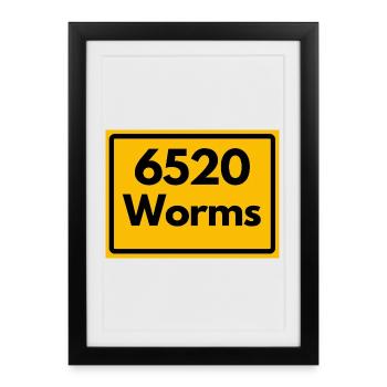 OLD POSTCODE POSTCODE RETRO 6520 WORMS - Framed poster (27 × 37 cm) - black - Front