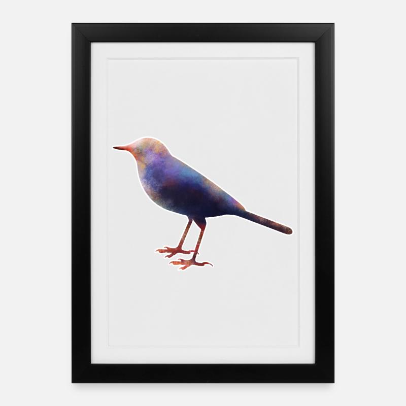 Schafstelze.1 - Gerahmtes Poster (27 × 37 cm) - Schwarz