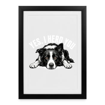 Yes I Herd You Border Collie Sheepdog - Affiche encadrée (27 × 37 cm) - noir - Devant