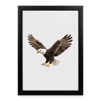 Powerful eagle in flight bird - Framed poster (27 × 37 cm) - black - Front